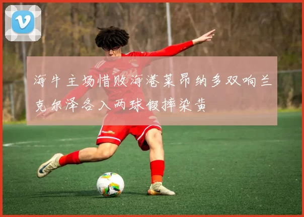 海牛主场惜败海港莱昂纳多双响兰克尔泽各入两球假摔染黄
