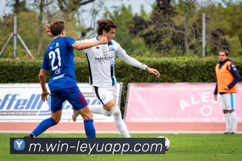 乐鱼体育品牌故事